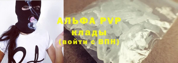 сатива Армянск
