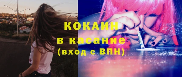 стафф Арсеньев