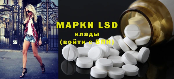 стафф Арсеньев