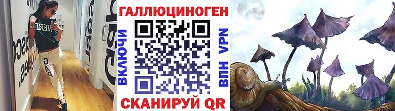 Галлюциногенные грибы прущие грибы Можга