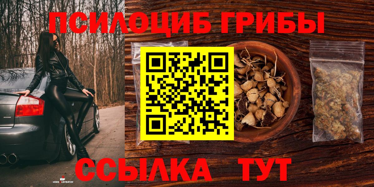 Псилоцибиновые грибы мицелий Можга