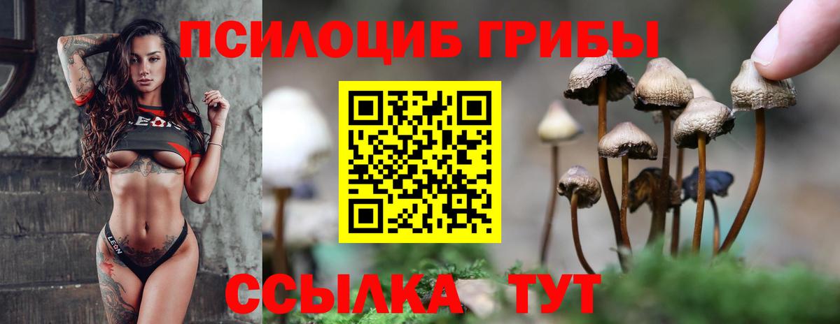 Галлюциногенные грибы GOLDEN TEACHER  Вход с VPN  Можга 